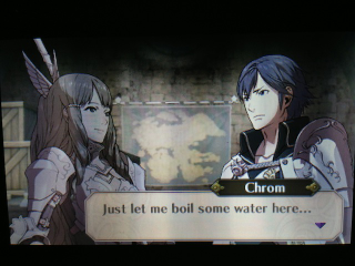 Illustration for article titled This Is What Romance Looks Like In Fire Emblem: Awakening